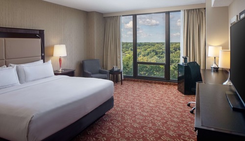 Room, 1 King Bed, River View