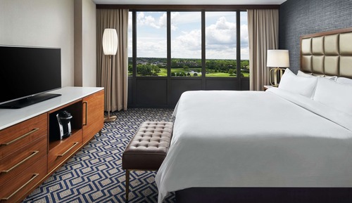 Suite, 1 King Bed with Sofa bed