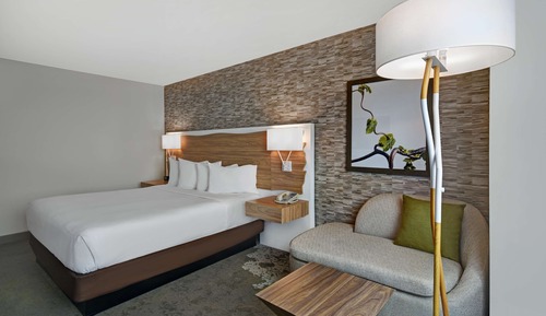 Room, 1 King Bed