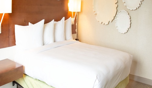 Suite, 1 King Bed
