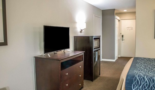 Deluxe Room, 1 King Bed, Non Smoking