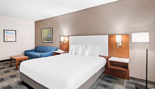 Standard Room, 1 King Bed, Non Smoking (with Sofabed)