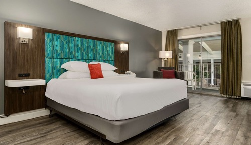Room, 1 King Bed