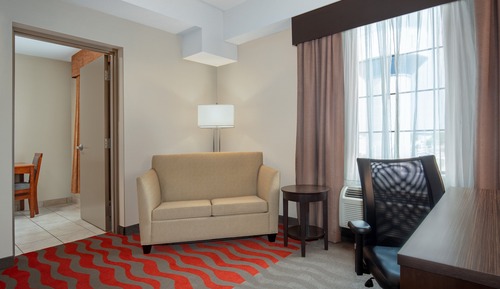 Suite, 1 King Bed with Sofa bed