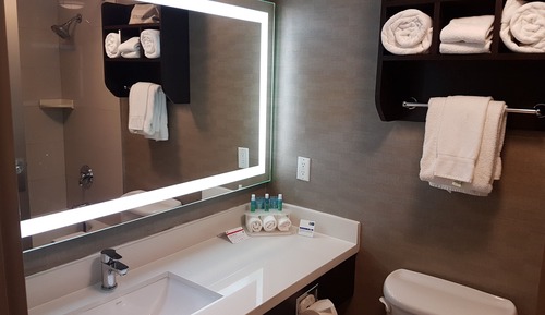 Suite, 1 King Bed with Sofa bed, Mobility Accessible (Mobility, Access Tub)