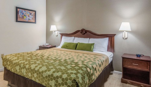 Standard Room, 1 King Bed, Non Smoking