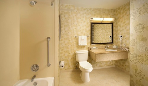 Room, 1 King Bed, Accessible, Non Smoking