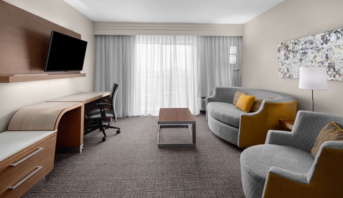 Room, 1 King Bed with Sofa bed (Mobility/Hearing Access, Roll-In Shwr)