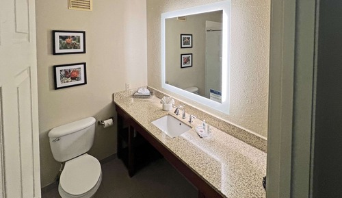 Suite, 1 Queen Bed with Sofa bed, Non Smoking
