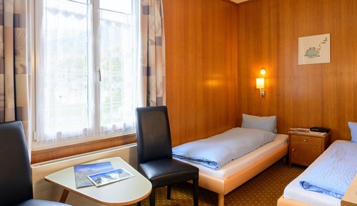 Basic Twin Room