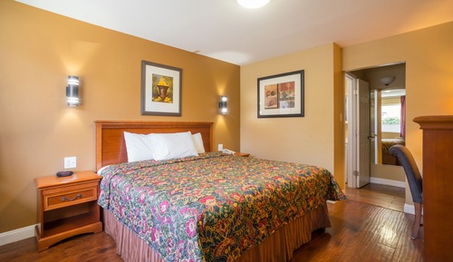 Room, 1 King Bed