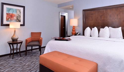 Room, 1 King Bed, Accessible, Non Smoking