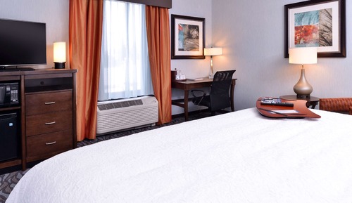 Room, 1 King Bed, Refrigerator & Microwave