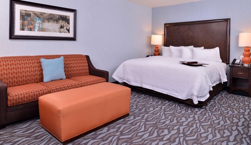 Room, 1 King Bed with Sofa bed, Refrigerator & Microwave