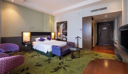 Privilege Queen Room