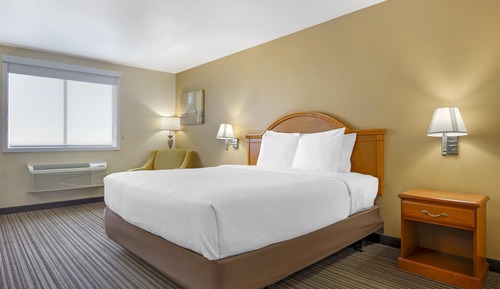 Standard Room, 1 King Bed, Non Smoking, Refrigerator & Microwave (Pet Friendly)