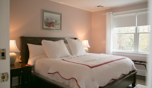 Room, 1 King Bed (Pets Allowed)