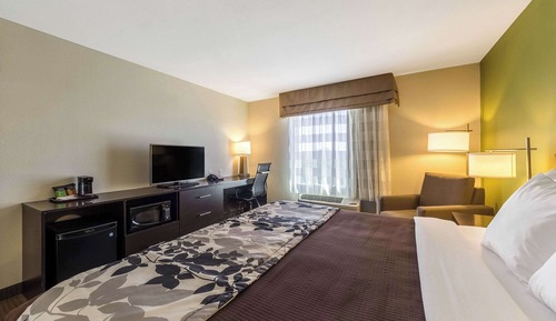 Room, 1 King Bed, Accessible, Non Smoking