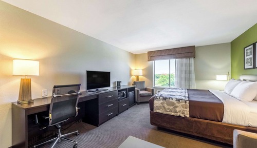 Standard Room, Multiple Beds, Non Smoking