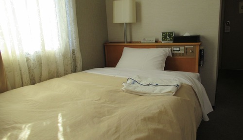 Single Room, Non Smoking