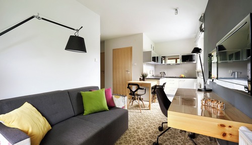 Design Apartment, 1 Bedroom, Kitchenette, Mountain View