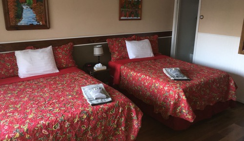 Standard Double Room, 2 Double Beds, Refrigerator & Microwave, Partial Lake View