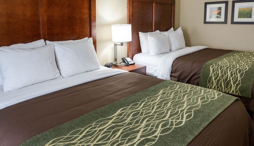 Mini Suite Two Queen with Sofa Bed, Hearing Accessible, Non-Smoking