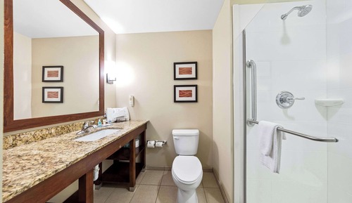 Mini Suite King with Sofa Bed, Non-Smoking