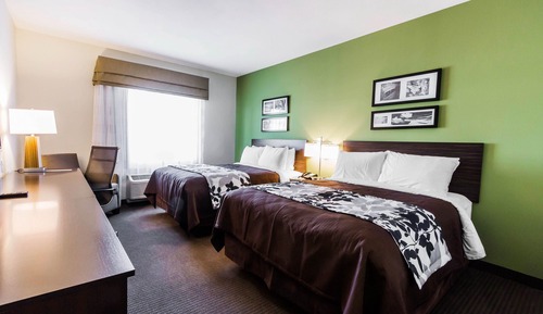 Suite, 1 King Bed with Sofa bed, Non Smoking