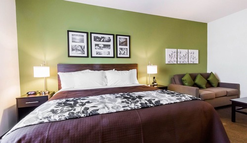 Room, 1 King Bed, Accessible, Non Smoking