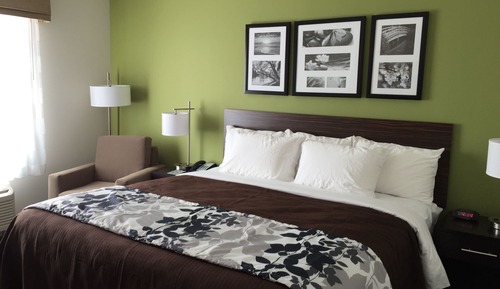 Standard Room, 1 King Bed, Non Smoking