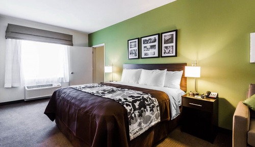 Room, 1 King Bed, Accessible, Non Smoking