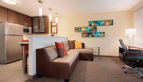 Studio, 1 King Bed with Sofa bed