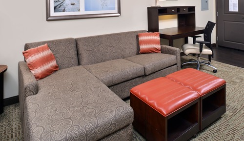 Suite, 1 Bedroom, Kitchen