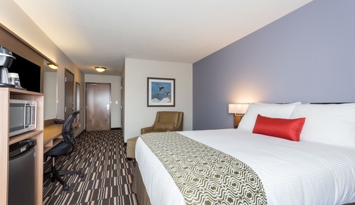 Room, 1 Queen Bed, Accessible, Non Smoking
