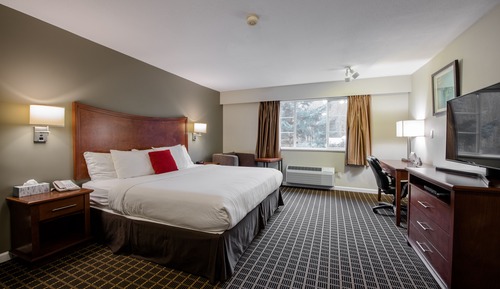 Standard Room, 1 King Bed, Kitchenette