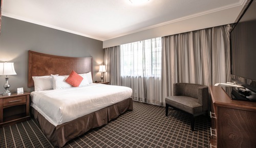 Executive Suite, 1 Bedroom, Kitchen, City View