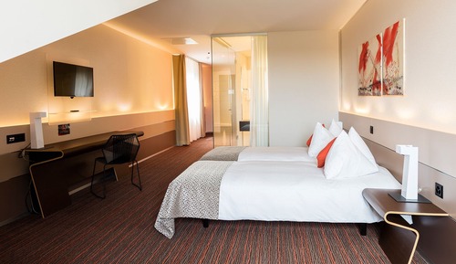 Comfort Double Room, 1 Double Bed