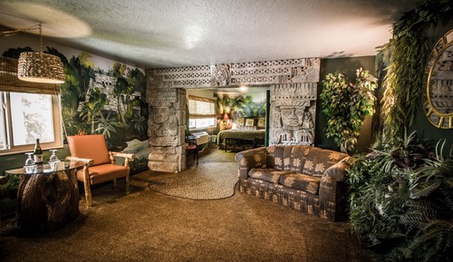 Room (Amazon Rainforest)