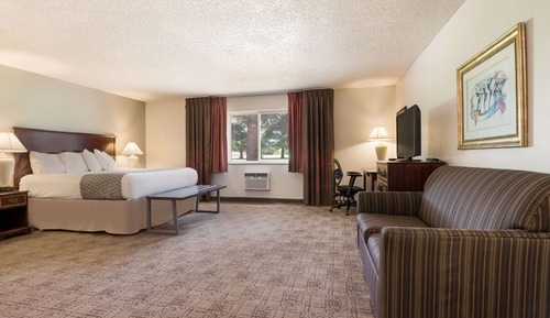 Standard Room, 1 King Bed, Non Smoking, Kitchenette (with Sofabed)