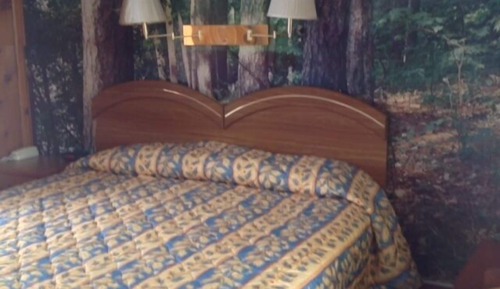 Room, 1 King Bed