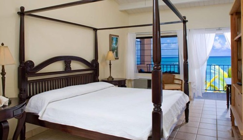 Standard Room, 1 King Bed, Ocean View