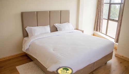 Family Single Room