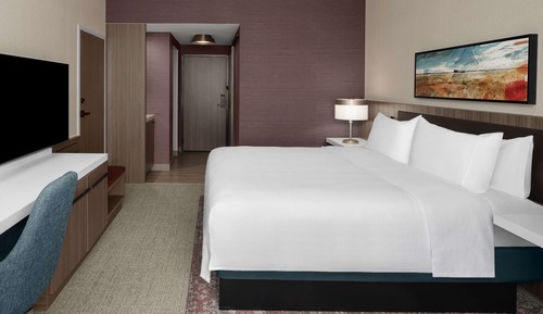 Room, 1 King Bed, Accessible (Roll-In Shower)