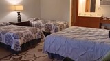 Basic Room