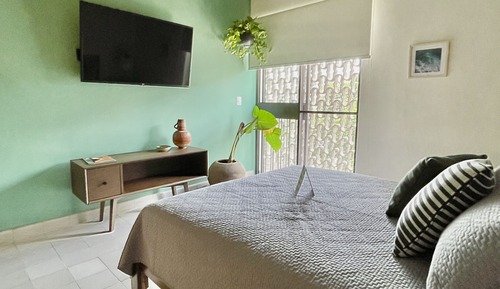 Basic Apartment