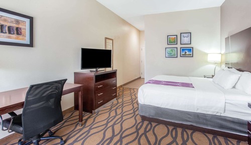 Room, 1 King Bed, Non Smoking