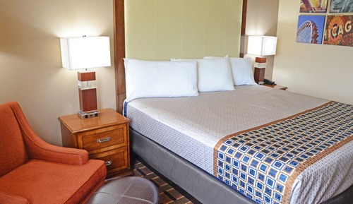 Room, 1 King Bed