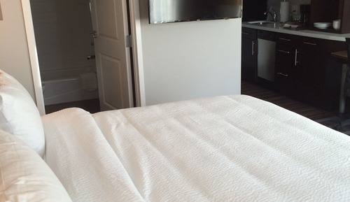 Studio, 1 King Bed with Sofa bed
