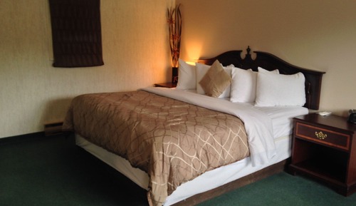 Suite, 1 King Bed, Pets Not Allowed